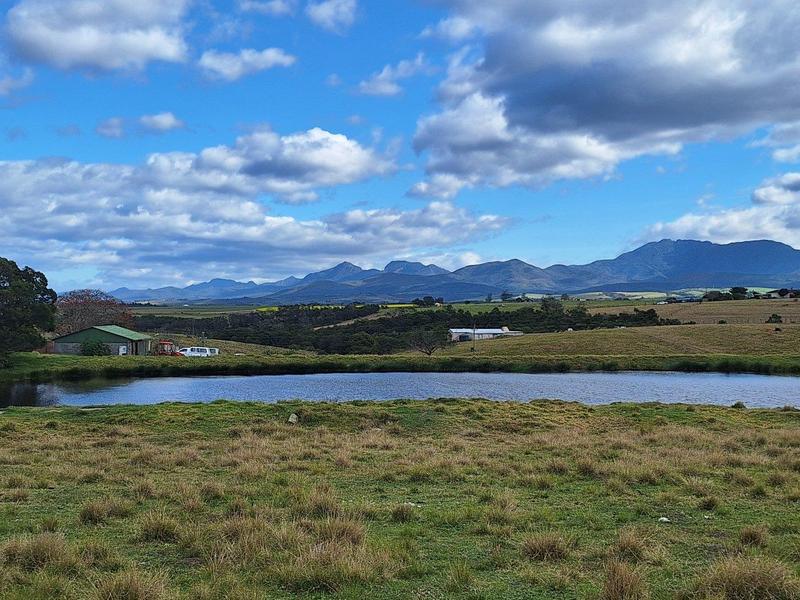 4 Bedroom Property for Sale in George Rural Western Cape
